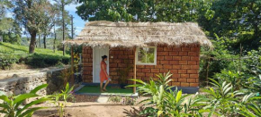 Vagamon Couples stay farm House